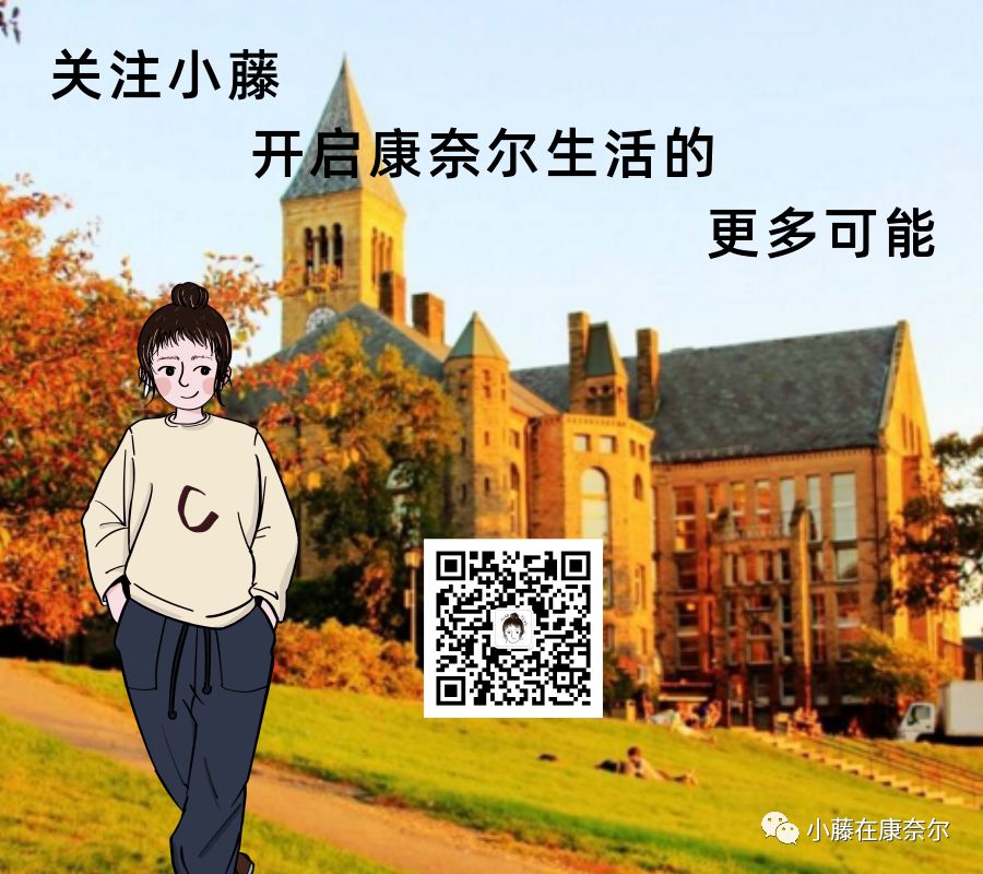 康奈尔福奇事件,康奈尔留学圈事件