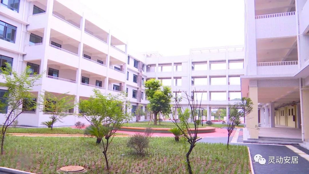 安居中心小学最新消息,好消息学区房有什么变化吗