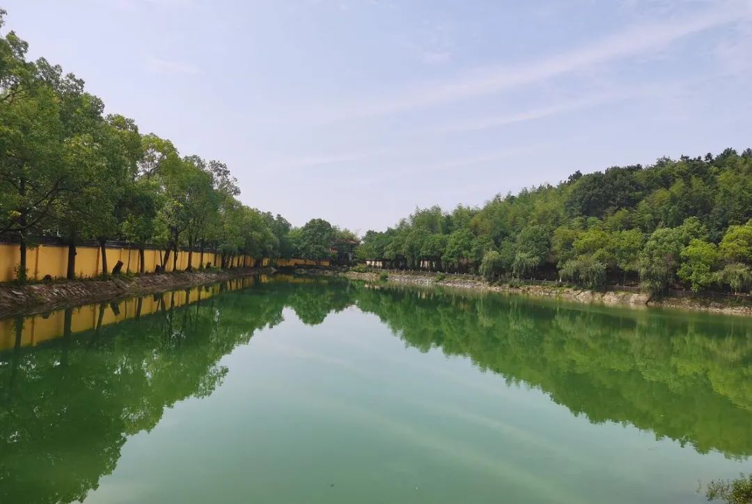 又一所大学要来！高淳，你真的要红了