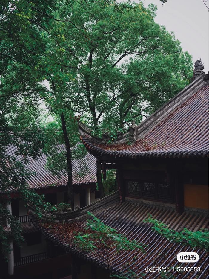 好消息,成都到资阳将通地铁!未来逛被遗忘的“石窟佛国”、资阳版“马尔代夫”更方便啦