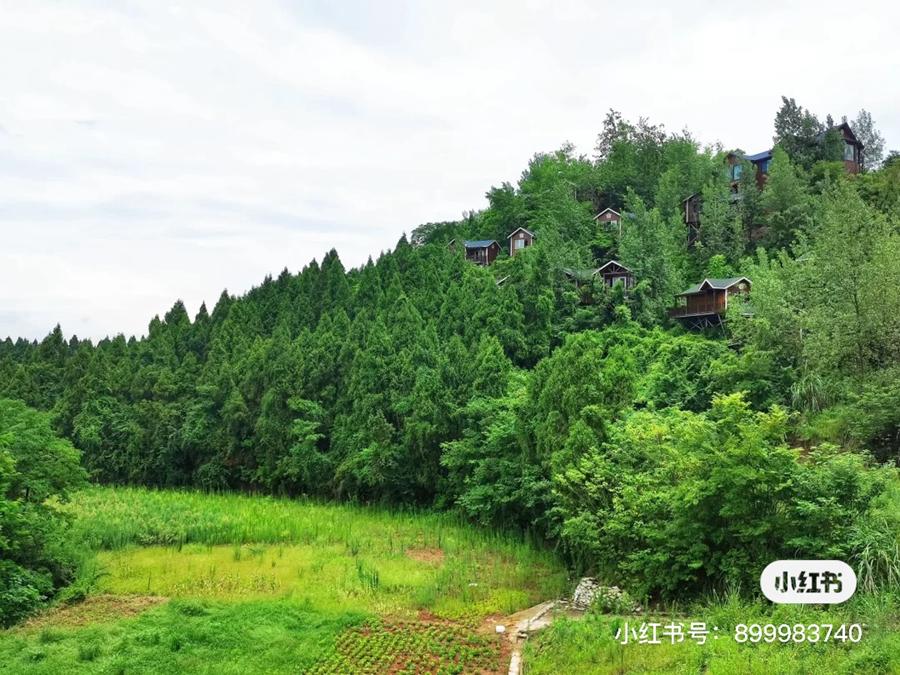 好消息,成都到资阳将通地铁!未来逛被遗忘的“石窟佛国”、资阳版“马尔代夫”更方便啦