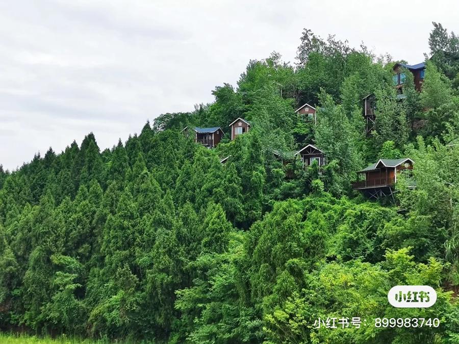 好消息,成都到资阳将通地铁!未来逛被遗忘的“石窟佛国”、资阳版“马尔代夫”更方便啦