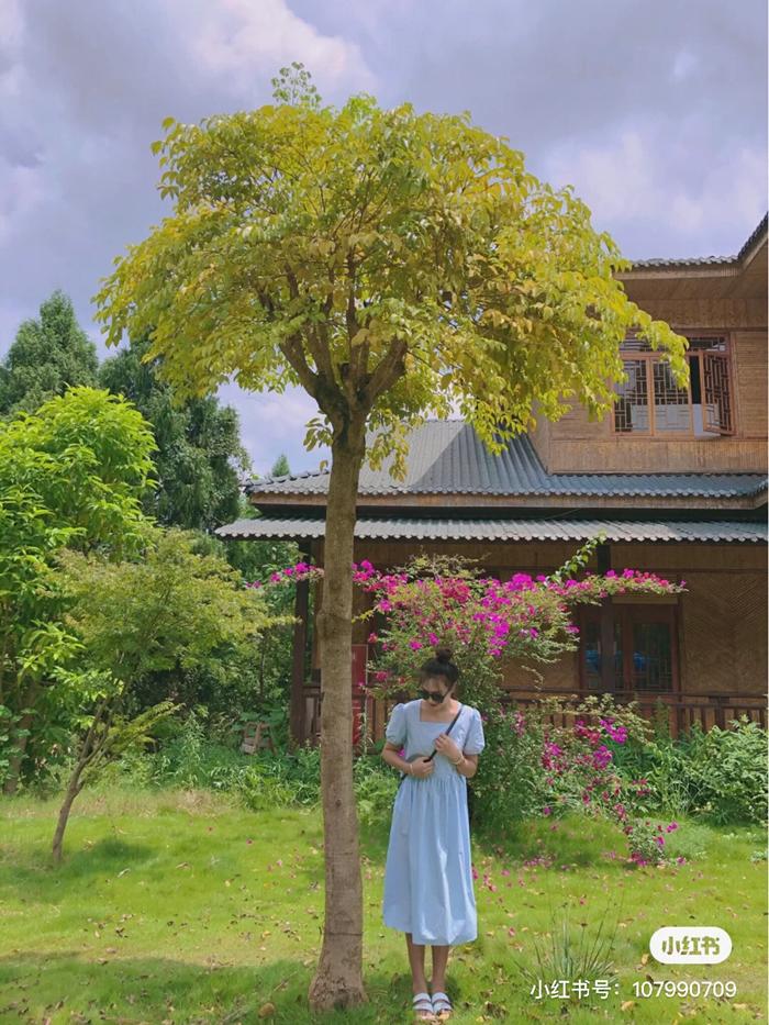 好消息,成都到资阳将通地铁!未来逛被遗忘的“石窟佛国”、资阳版“马尔代夫”更方便啦