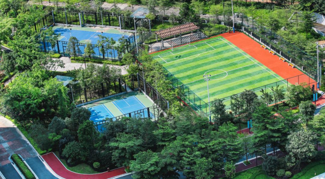 租客租房的真实经历 (租客租房真实经历)