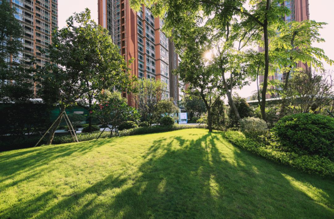 租客租房的真实经历 (租客租房真实经历)