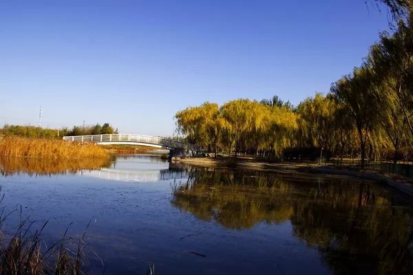 漫游古城享受惬意时光,感受大自然的气息和美景逛新城