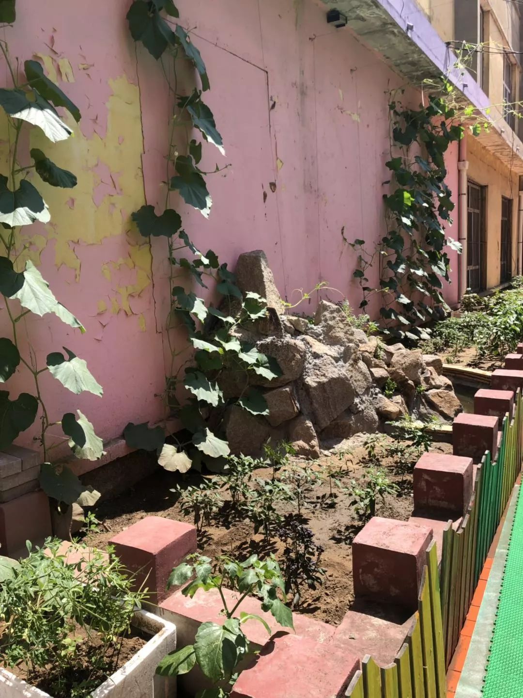 齐齐哈尔青少年宫报名现场,齐齐哈尔青少年宫幼儿园