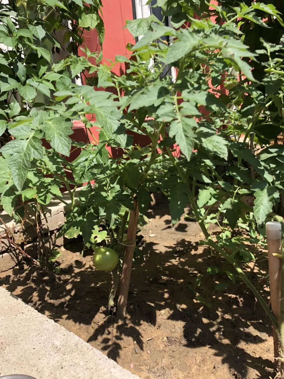 齐齐哈尔青少年宫报名现场,齐齐哈尔青少年宫幼儿园