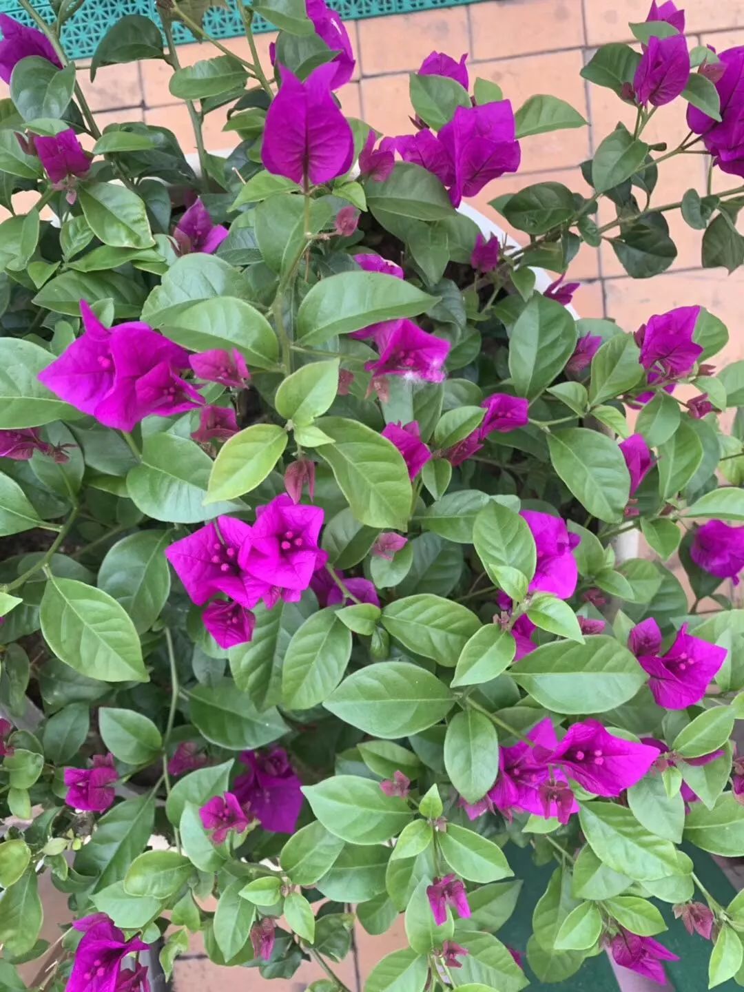 齐齐哈尔青少年宫报名现场,齐齐哈尔青少年宫幼儿园