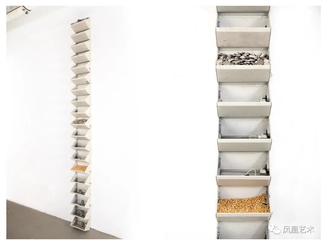 凤凰艺术|哥大、康奈尔以及SVA的毕业季有什么？