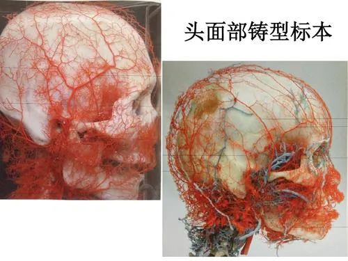 窝里横的孩子教育方法,胡搅蛮缠的孩子如何引导