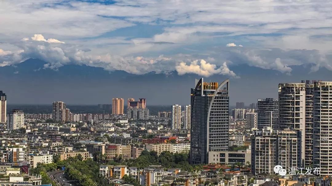 香飘飘青岛啤酒,香飘飘与娃哈哈公司