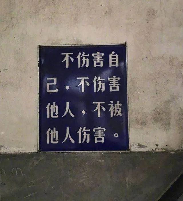 刷闲鱼成了我每天的快乐源泉