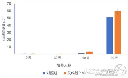 降低虾类养殖致病率，还得从免疫系统入手