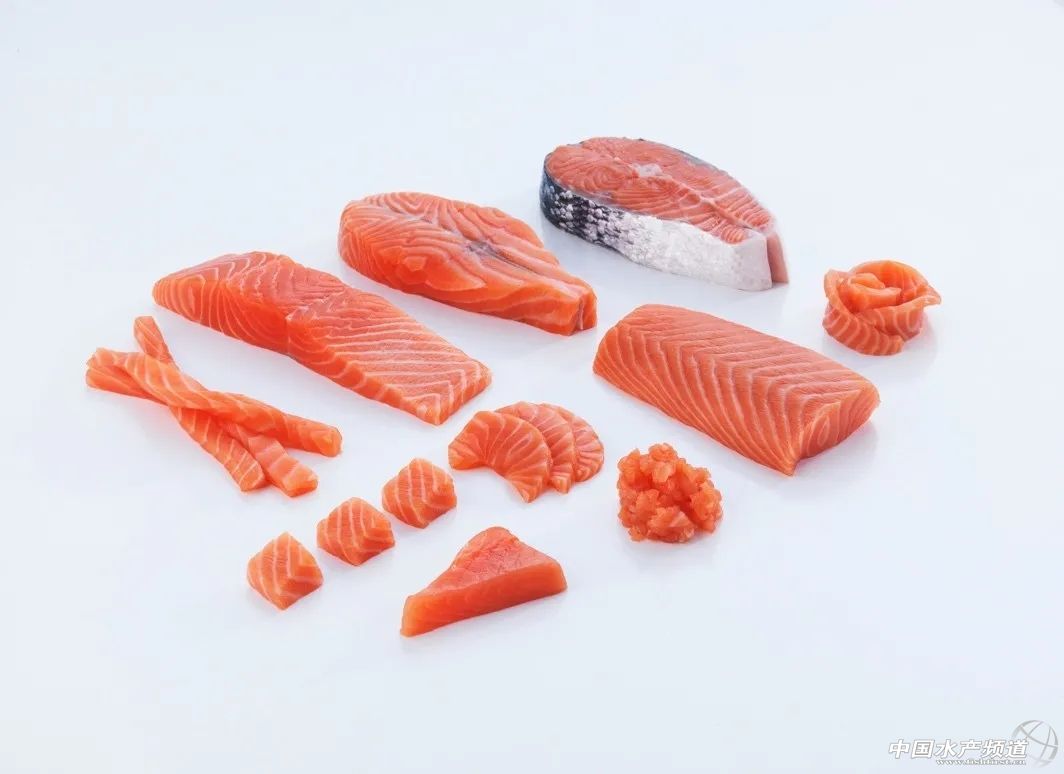 挪威三文鱼安全吗,挪威三文鱼空运过程