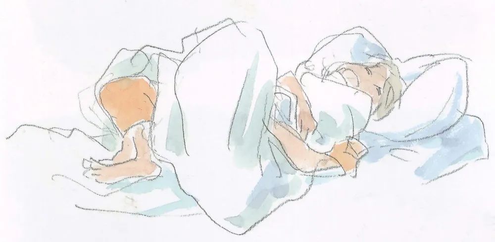 动画学习资料|《悬崖上的金鱼姬》幕后珍藏设定大合集