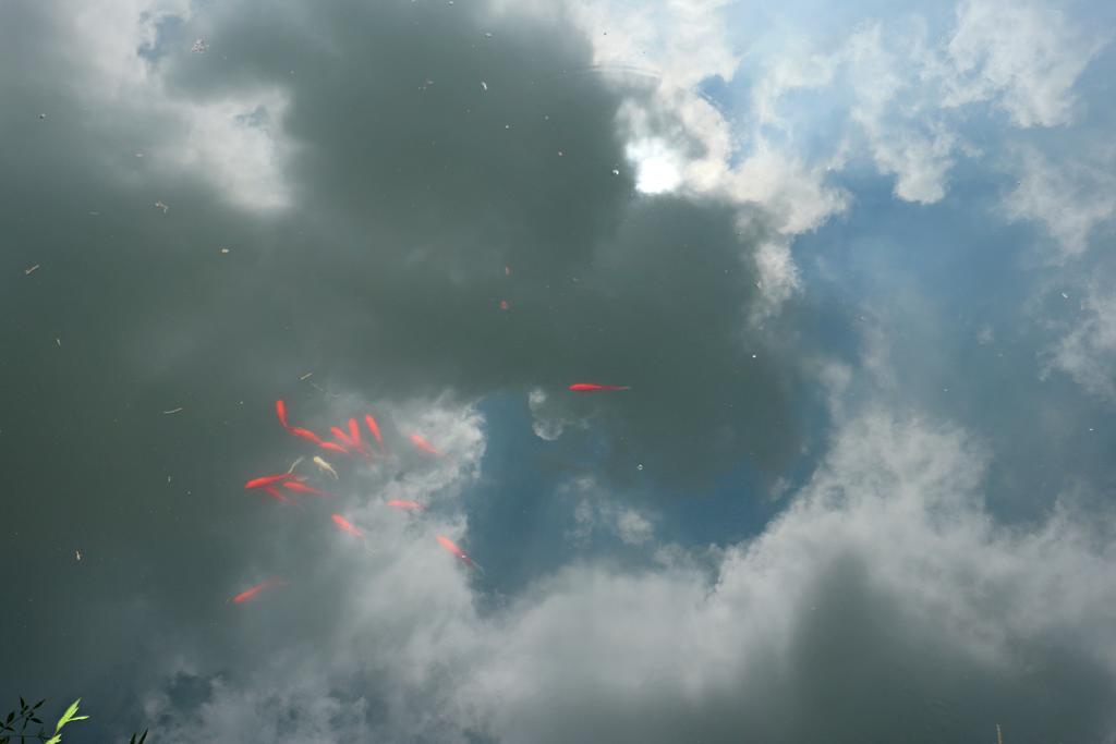 佳能eosm6二代,佳能eosm6怎么传输照片