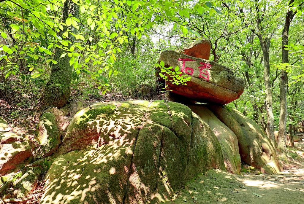 佳能eosm6二代,佳能eosm6怎么传输照片