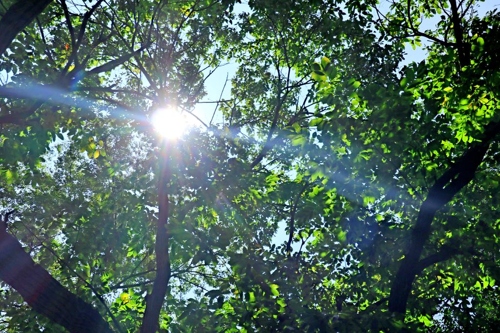 佳能eosm6二代,佳能eosm6怎么传输照片