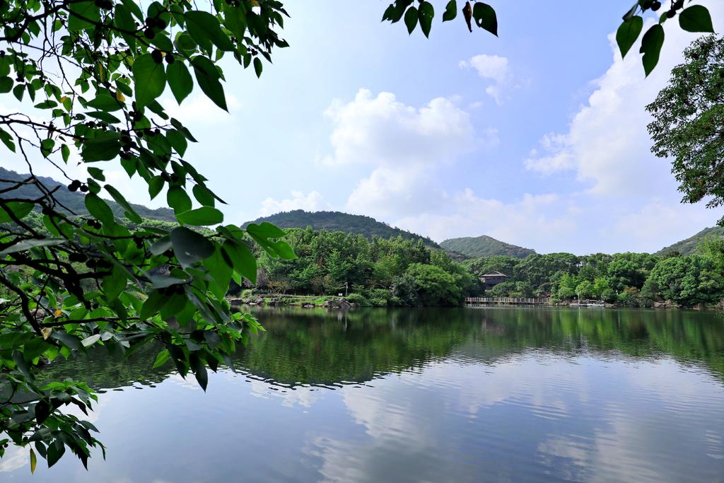 佳能eosm6二代,佳能eosm6怎么传输照片