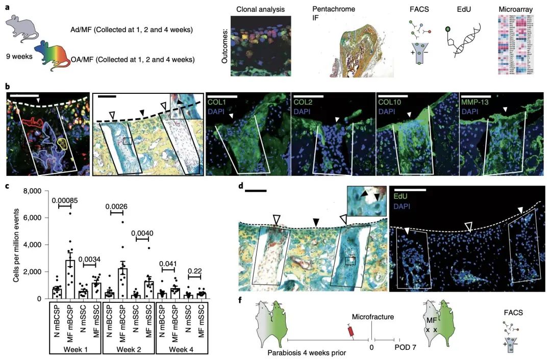 楠ㄥ叧鑺傜値杞淇,楠ㄥ叧鑺傜値搴峰鐥呬緥