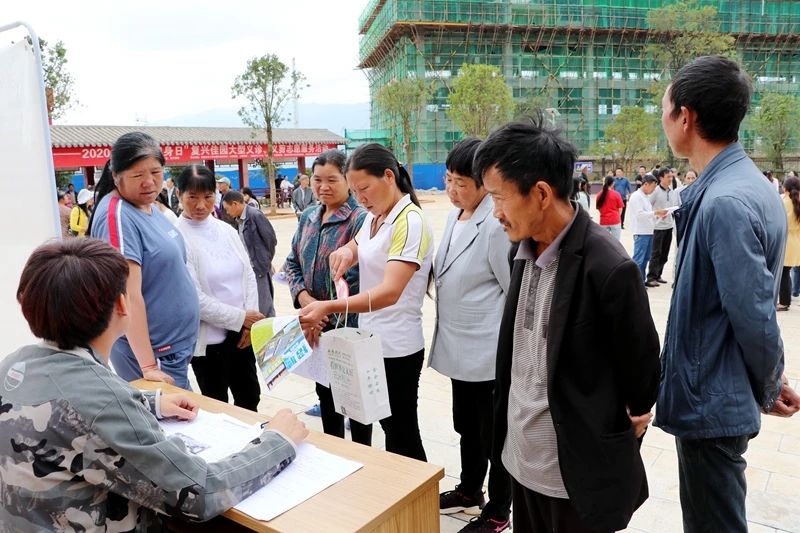 宣威复兴电商招聘,复兴区公开招聘服务岗位