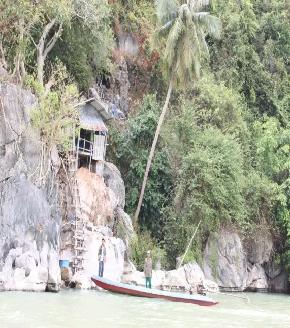 燕窝进口关税多少,进口燕窝哪种比较好