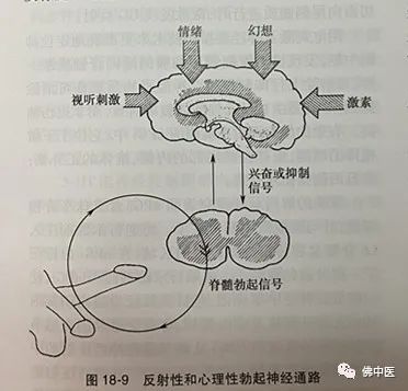 【七夕】佛中医新上线“男神”检查,解决你的“男”言之隐