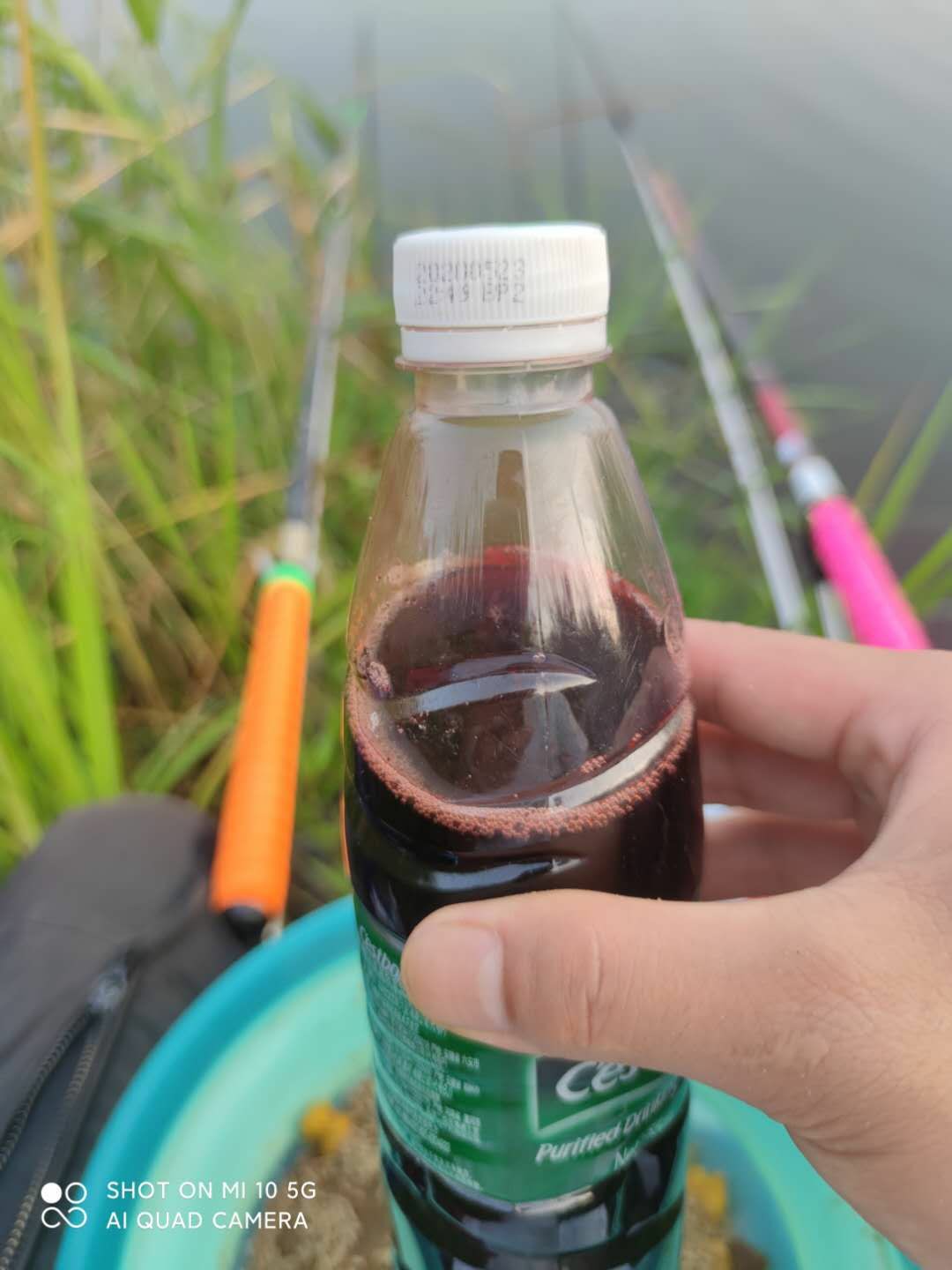 水底暗草多怎么解决,水底暗草多如何垂钓