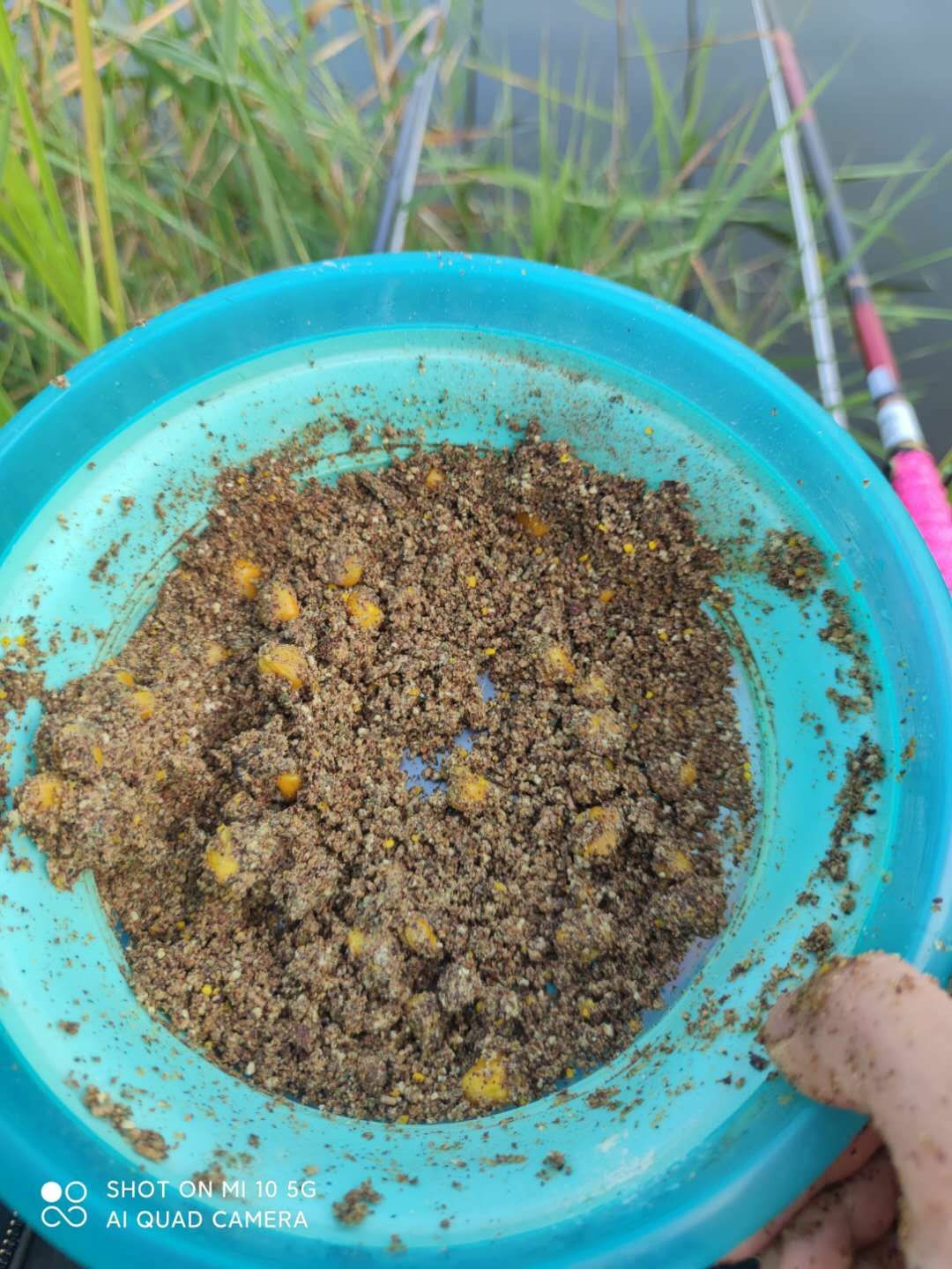 水底暗草多怎么解决,水底暗草多如何垂钓