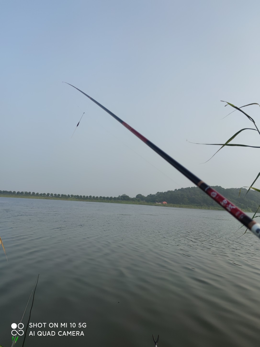 水底暗草多怎么解决,水底暗草多如何垂钓