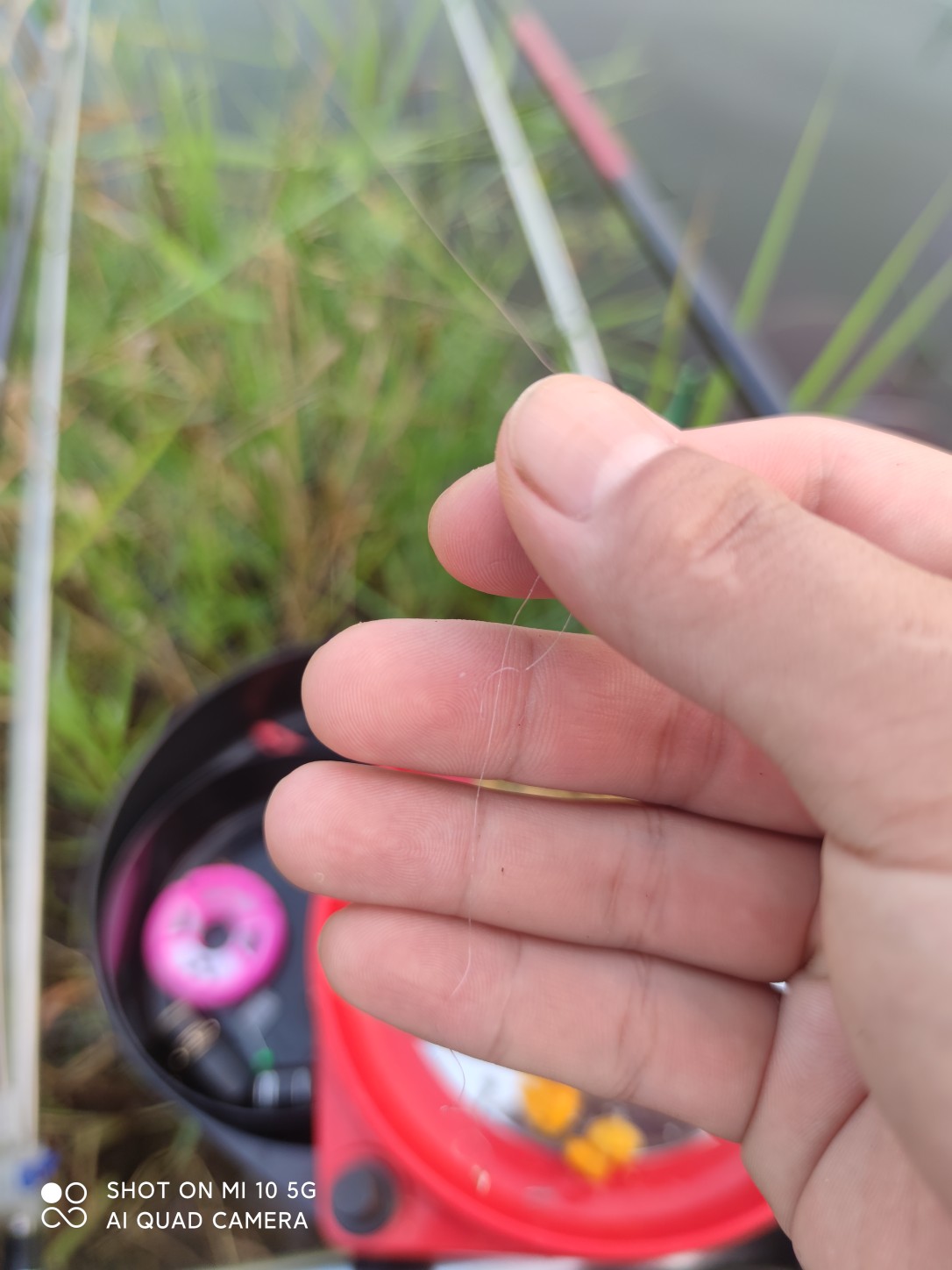 水底暗草多怎么解决,水底暗草多如何垂钓