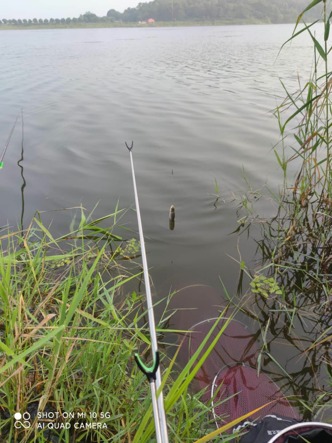 水底暗草多怎么解决,水底暗草多如何垂钓