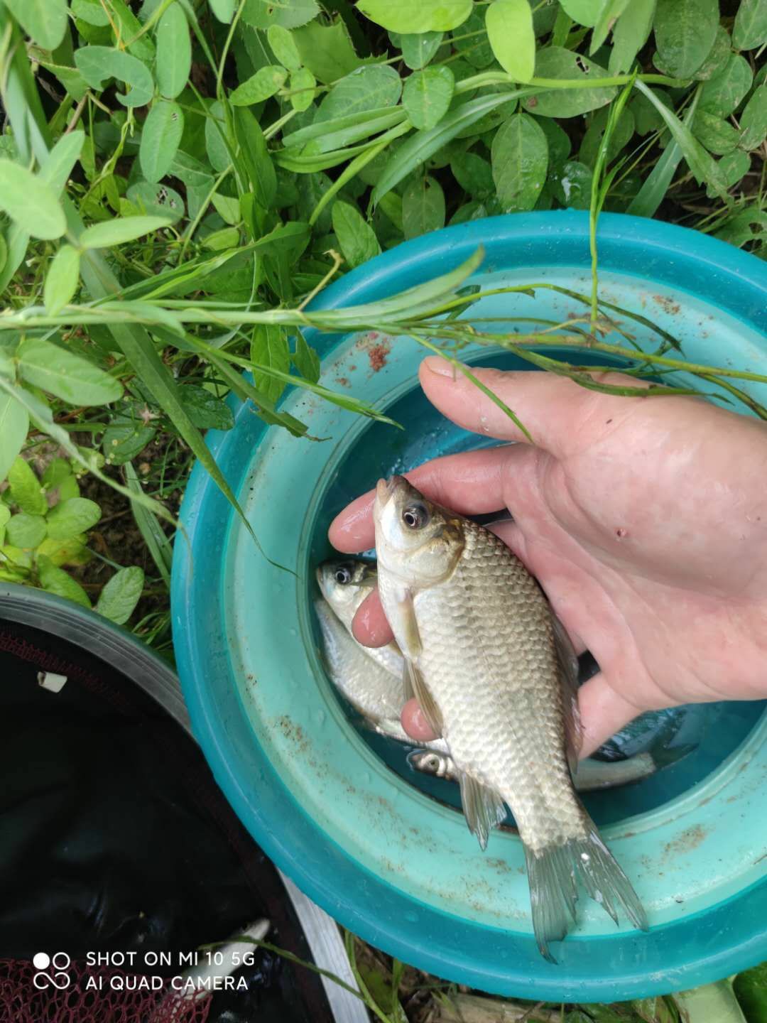 水底暗草多怎么解决,水底暗草多如何垂钓