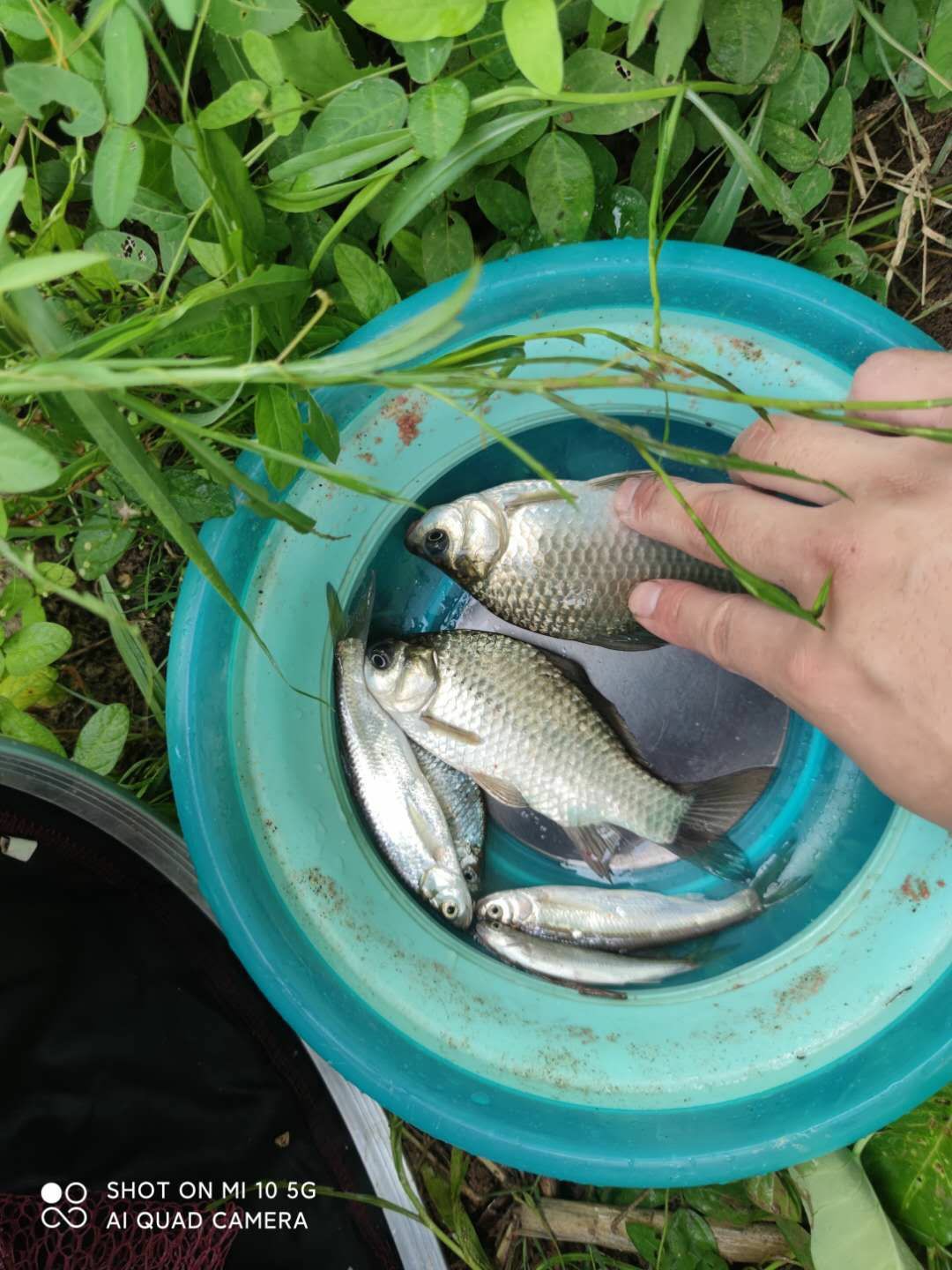 水底暗草多怎么解决,水底暗草多如何垂钓