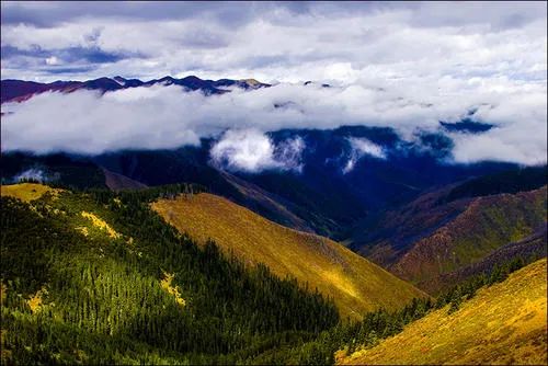 7-8月份甘孜旅游最佳地方,正是赏景好时节