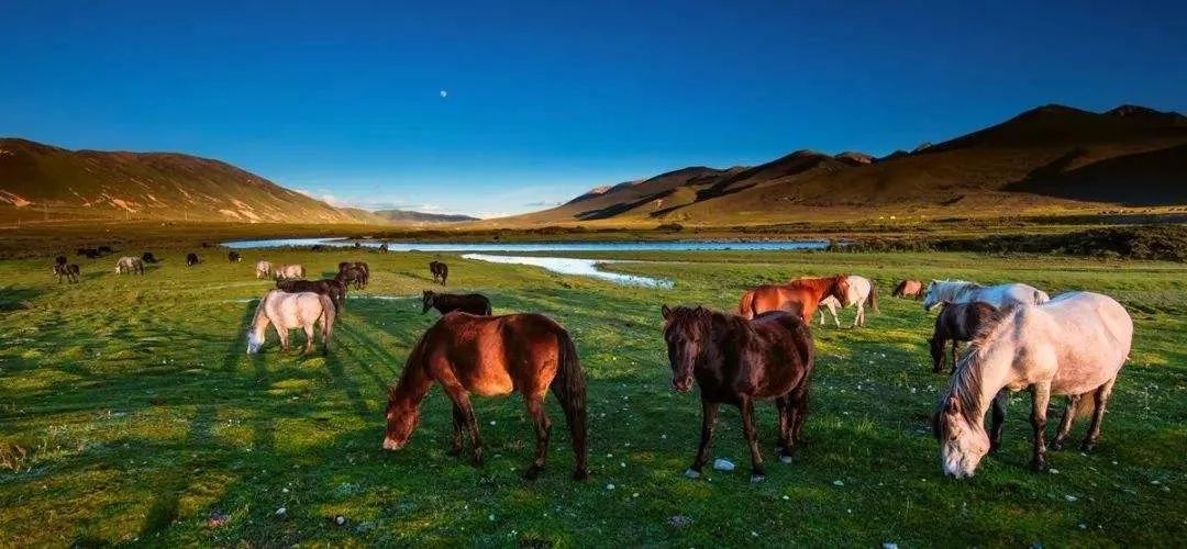 7-8月份甘孜旅游最佳地方,正是赏景好时节