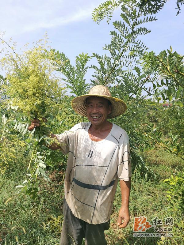 走向我们的小康致富路,走向我们的小康新生活