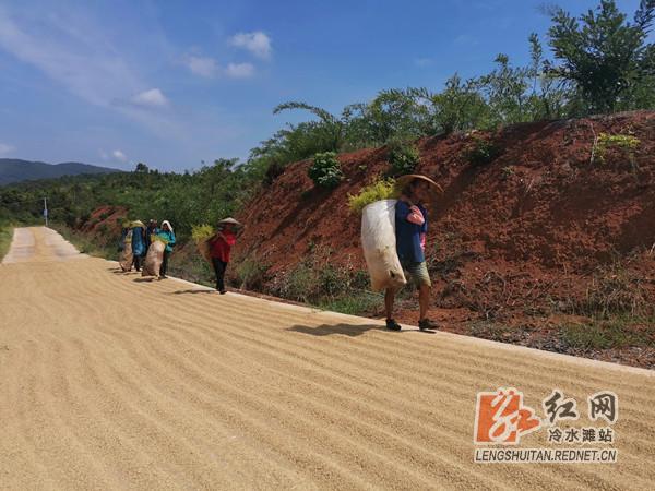 走向我们的小康致富路,走向我们的小康新生活