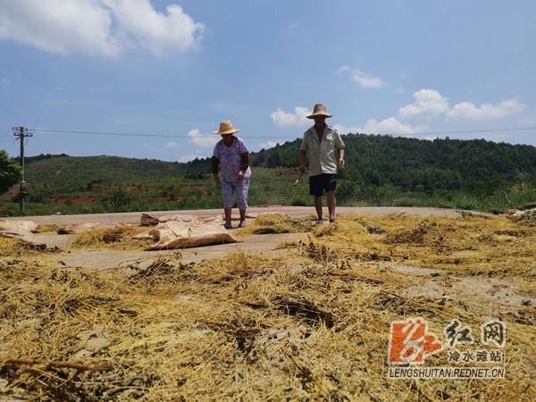 走向我们的小康致富路,走向我们的小康新生活