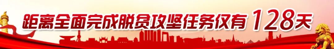 金昌薰衣草之约中式集体婚礼,一个人一座城一个清晨一个黄昏