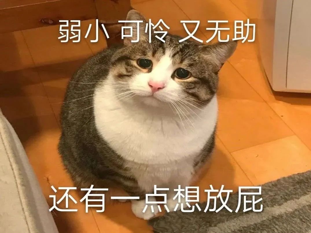 瑞酱长草日记丨美容小“嘟嘟脸”Lisa，原来也被嘴角纹困扰着？