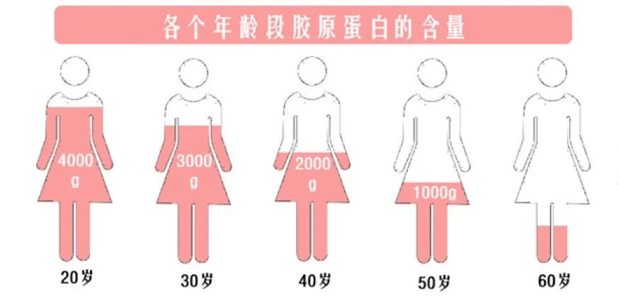 猪蹄和花胶哪个补胶原蛋白高,花胶跟胶原蛋白推荐一样吗