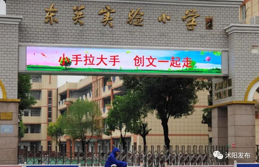 市中区小学学校排名一览表,各区重点小学排名