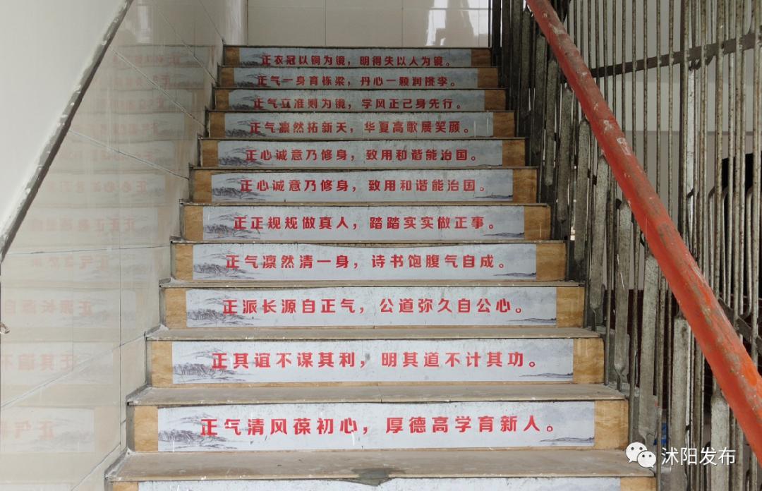 市中区小学学校排名一览表,各区重点小学排名