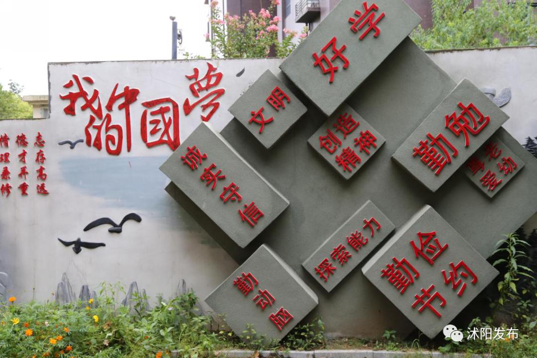 市中区小学学校排名一览表,各区重点小学排名