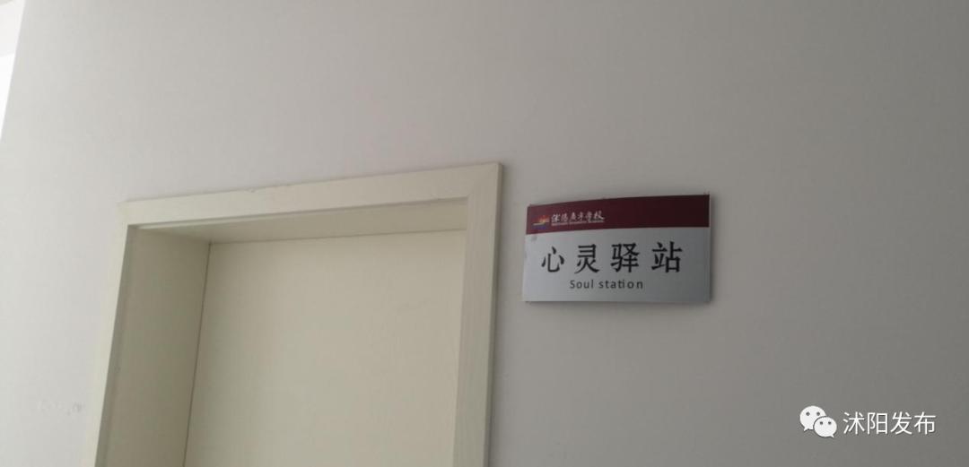 市中区小学学校排名一览表,各区重点小学排名