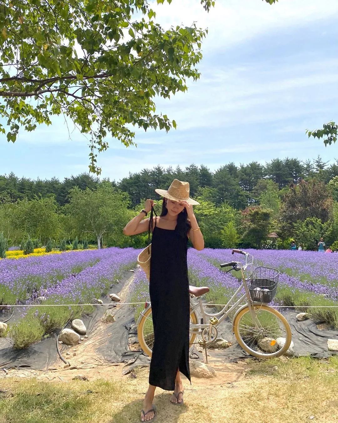 夏季简约风韩国ins穿搭博主高级感,韩国穿搭ins时尚博主冬