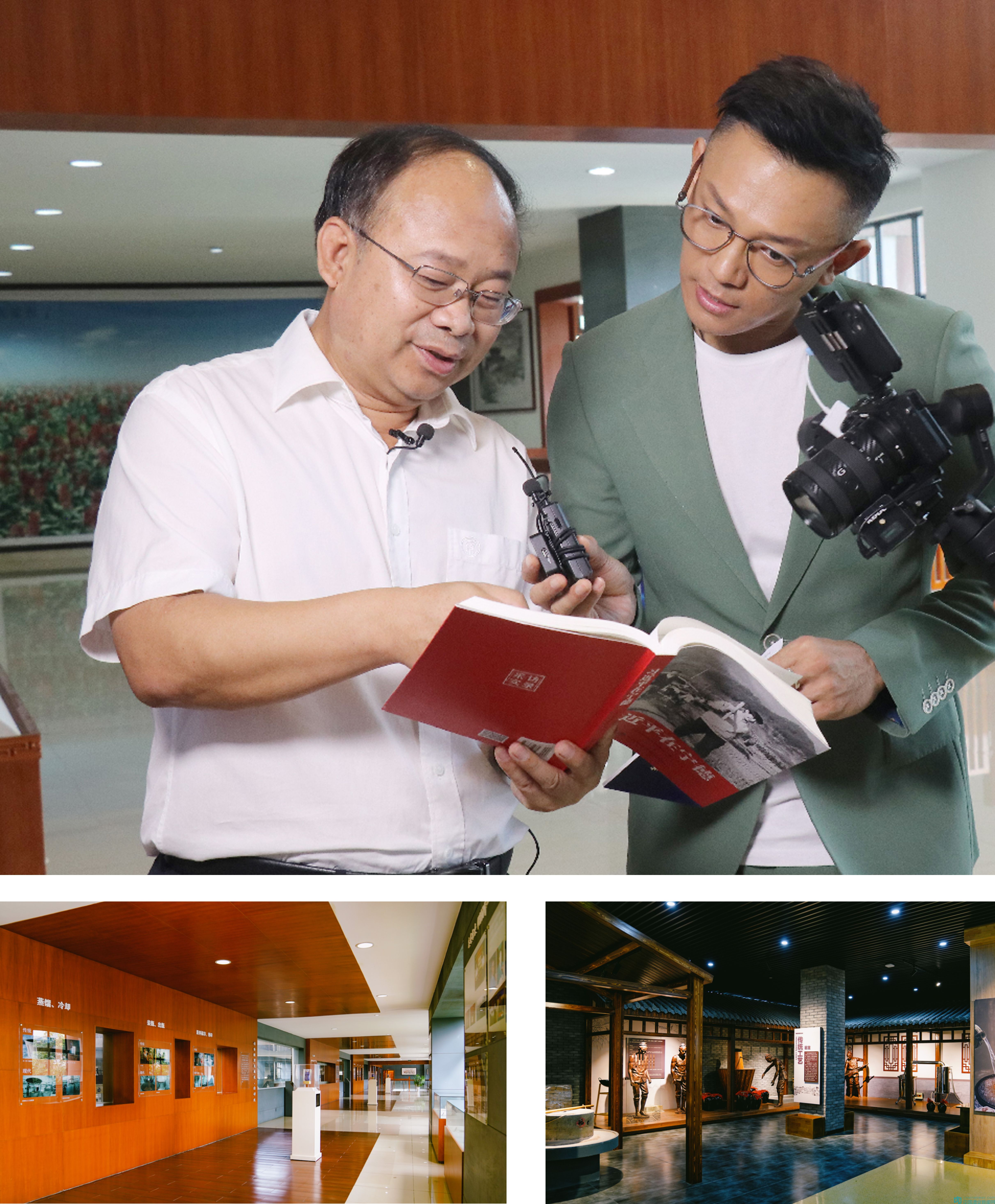 经典景阳春品鉴酒,景阳春经典醇香酒52度