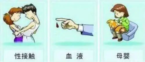 致女性同胞们,致女同胞